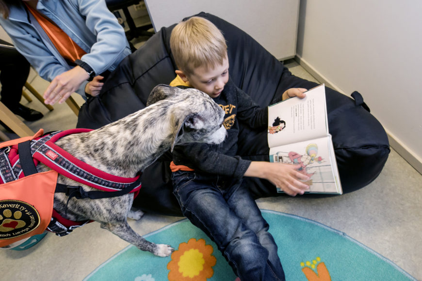 Poika lukee kirjaa säkkituolissa. Vierellä koira kuuntelee.