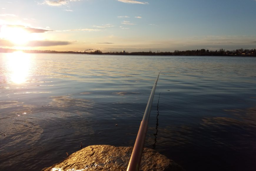 Merimaisema, lähimpänä ongenvapa ja kivi, taustalla meri ja rantaa.