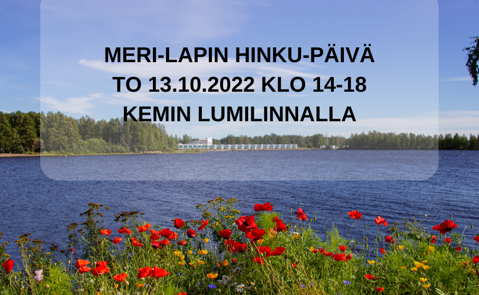 Meri-Lapin Hinku-päivä torstaina : Kattavaa tietoa  energia-asioista kotitalouksille ja yrityksille | Kemi